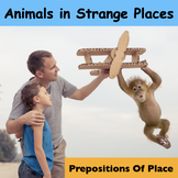 Animals in STRANGE places - Prepositions of Place