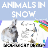 Animals in Snow | Biomimicry Design Inspired by Nature Compatible with NGSS