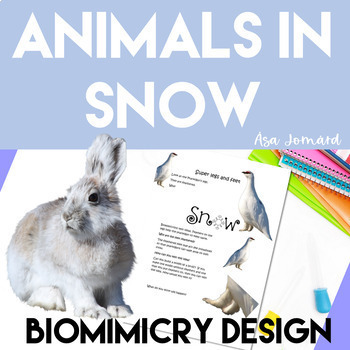 Preview of Animals in Snow Project | Biomimicry Design Activities | Nonfiction |  STEAM