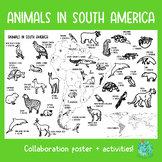 Animals in South America: collaboration poster!