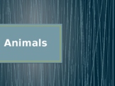 Animals in Spanish & English with Pictures PowerPoint
