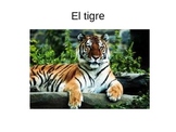 Animals in Spanish PowerPoint Flashcards