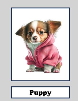 Preview of Animals in Sweaters! Cute, Sweet and Funny Posters! 8.5 x 11 Size