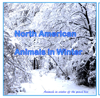 Preview of Animals in WINTER for Toddlers & Preschool & Elementary