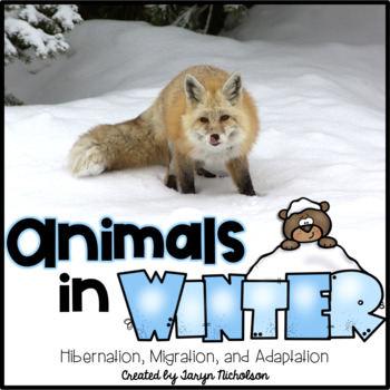 Preview of Animals in Winter