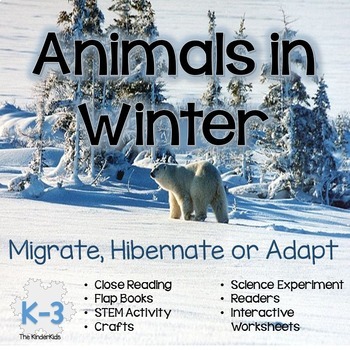 Preview of Winter Animals