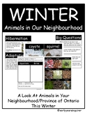 Animals in Winter (A Look at Animals in Our Neighbourhoods