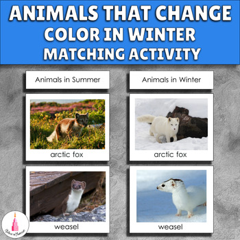 Preview of Animals in Winter Adaptation Activity Montessori