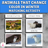 Animals in Winter Adaptation Activity Montessori