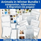 Animals in Winter - Adaptation, Hibernation & Migration BUNDLE 1