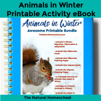 Preview of Animals in Winter Bundle #1 eBook