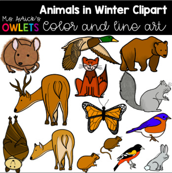 Animals in Winter Clipart by Ms Avrick's Owlets | TPT