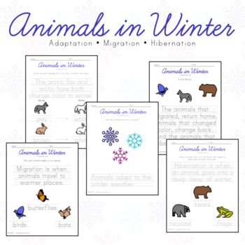Animal Migrations Teaching Resources | TPT