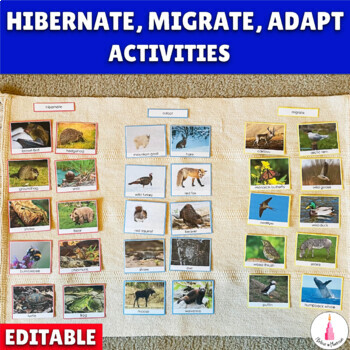 Preview of Animals in Winter Hibernate, Migrate, Adapt Activity | Montessori