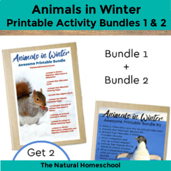 Preview of Animals in Winter (Hibernation, Migration & Adaptation) Bundles 1 & 2