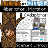 Animals in Winter: Hibernation, Migration, & Adaptation Sc