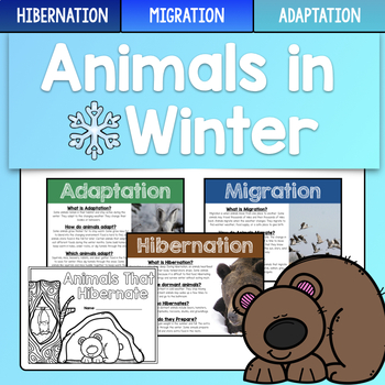 Preview of Animals in Winter - Hibernation, Migration, Adaptation - Science & Writing