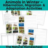 Animals in Winter ~ Hibernation, Migration and Adaptation
