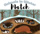 Animals in Winter Match