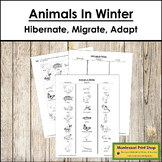 Animals in Winter (Migrate, Hibernate, Adapt) - Blackline Masters