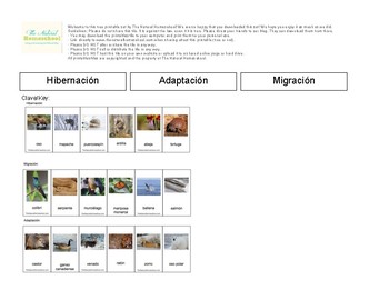 Preview of Animals in Winter: Migration, Hibernation & Adaptation IN SPANISH