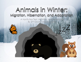 Animals in Winter: Migration, Hibernation, and Adaptation