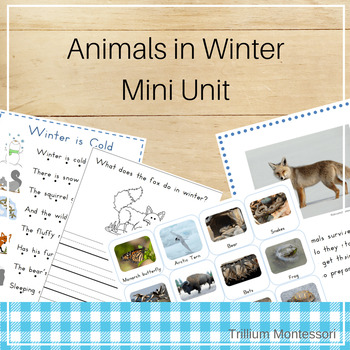 Preview of Animals in Winter: Hibernate, Migrate, Adapt