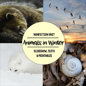 Preview of Animals in Winter Video & Nonfiction Unit
