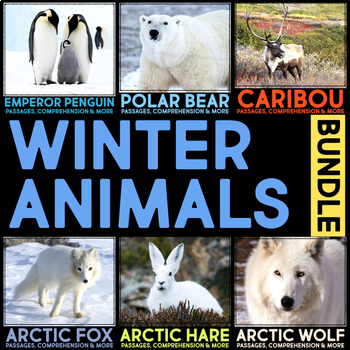 Preview of Animals in Winter Nonfiction Reading Research Report, Comprehension Activities