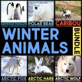 Animals in Winter Nonfiction Reading Research Report, Comp