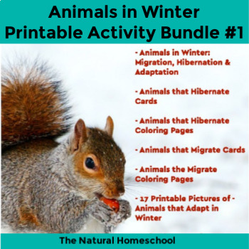 Preview of Animals in Winter Printables Bundle #1