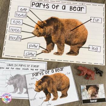 Animals in Winter - Science for Little Learners (preschool, pre-k
