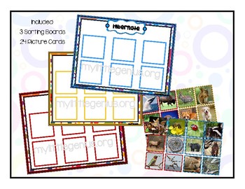 Preview of Animals in Winter: Hibernate, Migrate and Adapt Sorting Activity