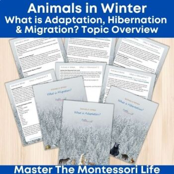 Preview of Animals in Winter - Topic Overviews What is Adaptation, Hibernation & Migration?