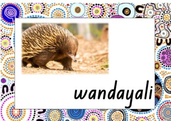 Preview of Animals in Wiradjuri Language