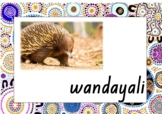 Animals in Wiradjuri Language