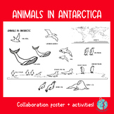 Animals in the Antarctic: collaboration poster!