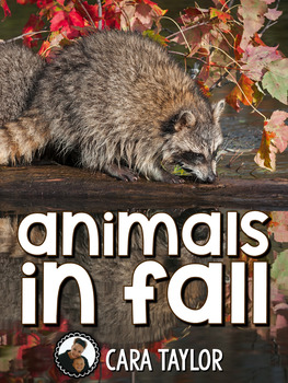 Preview of Animals in the Fall~ Hibernating, Migrating, and Adapting