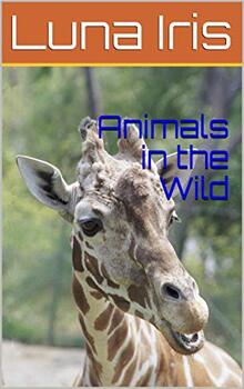 Preview of Animals in the Wild