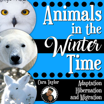 Preview of Animals in the Winter ~ Adapting, Hibernating, Migrating Animals