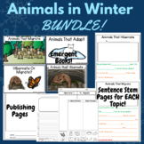 Animals in the Winter (Hibernate, Adapt, Migrate Activitie