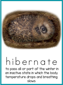 Animals in the winter- hibernation, migration, adaptation by Kristen Smith