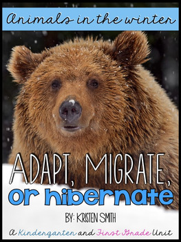 Preview of Animals in the winter- hibernation, migration, adaptation