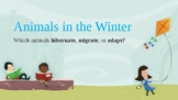Animals in the winter presentation: Which animals hibernat