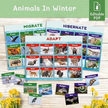 Preview of Animals in winter. Hibernation, migration, adaptation montessori materials