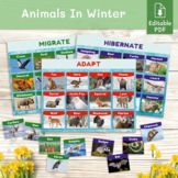 Animals in winter. Hibernation, migration, adaptation mont