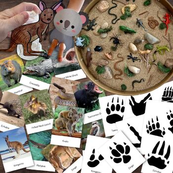 Preview of Animals of AUSTRALIA Oceania Fauna Flashcards Tracks Footprints Flashcards Craft