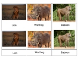 Animals of Africa 3-part-cards, Montessori