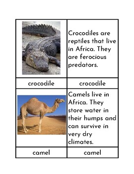 Preview of Animals of Africa - Three/Four Part Cards