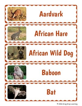 Preview of Animals of Africa Word Wall Bulletin Board